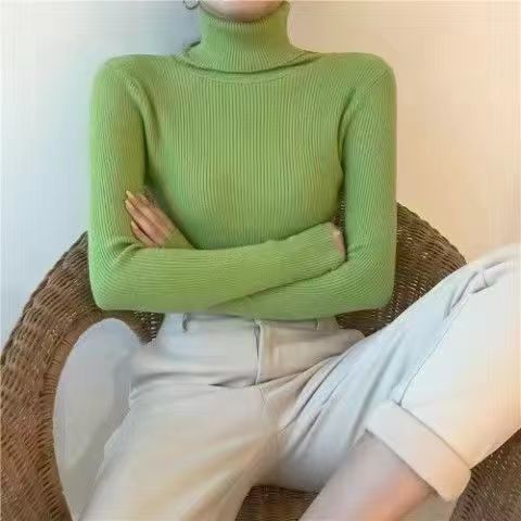 Turtleneck Sweater